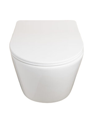 001 Wall Hung Glossy White Basin