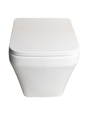 002 Wall Hung Glossy White Basin