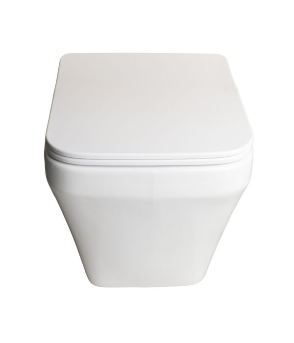 002 Wall Hung Glossy White Basin