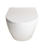 007 Wall Hung Glossy White Basin