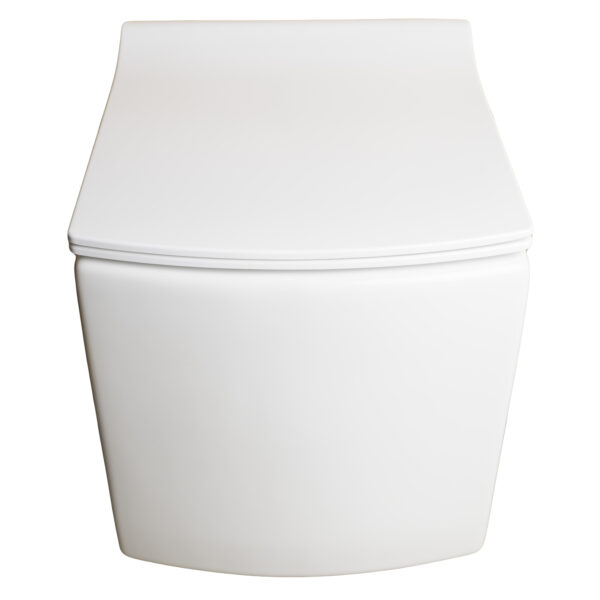 010 Wall Hung Glossy White Basin